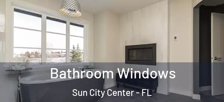  Bathroom Windows Sun City Center - FL