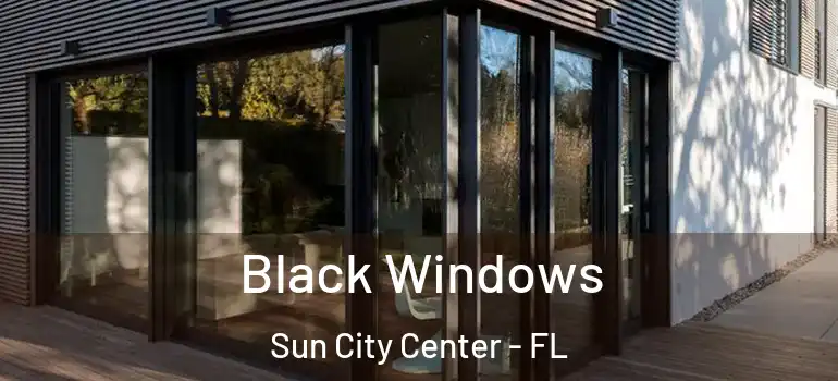  Black Windows Sun City Center - FL