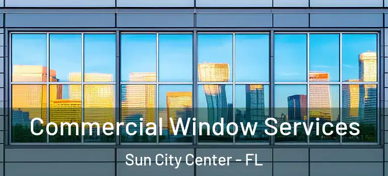 Commercial Window Services Sun City Center - FL