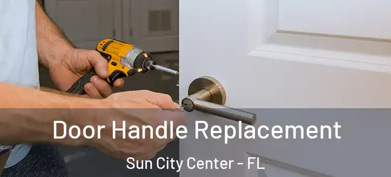  Door Handle Replacement Sun City Center - FL