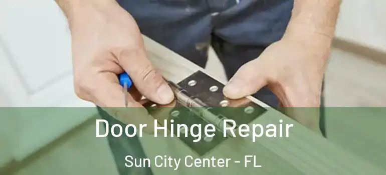  Door Hinge Repair Sun City Center - FL
