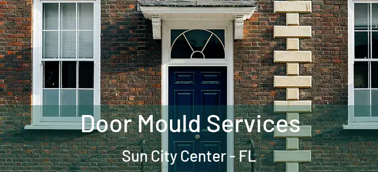  Door Mould Services Sun City Center - FL