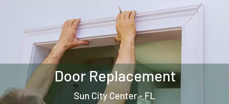  Door Replacement Sun City Center - FL
