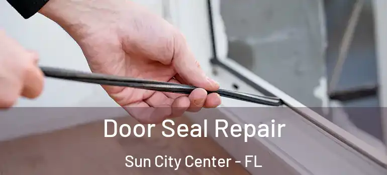  Door Seal Repair Sun City Center - FL