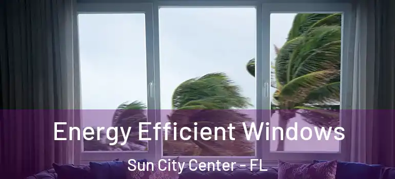  Energy Efficient Windows Sun City Center - FL