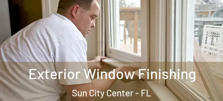  Exterior Window Finishing Sun City Center - FL