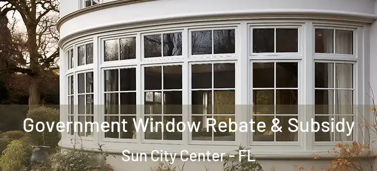  Government Window Rebate & Subsidy Sun City Center - FL