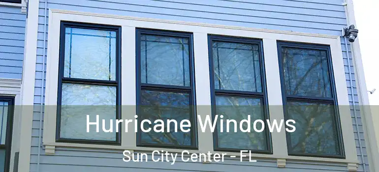  Hurricane Windows Sun City Center - FL