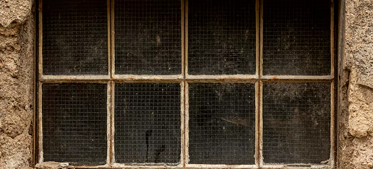 Traditional Double Front Doors in Sun City Center, FL