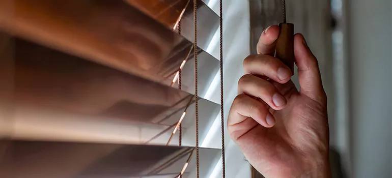 Double Roller Blinds in Sun City Center, FL