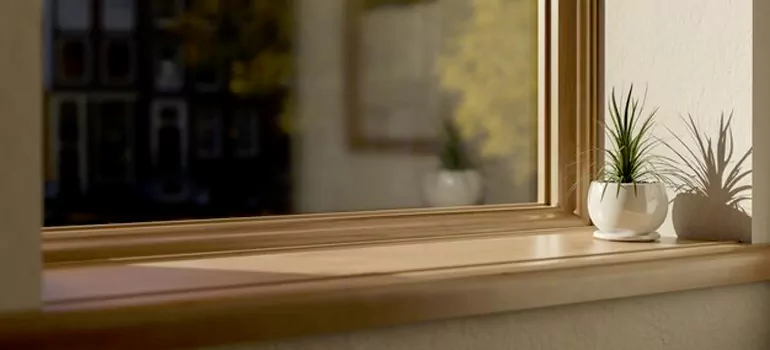 Exterior Window Stool inSun City Center, FL