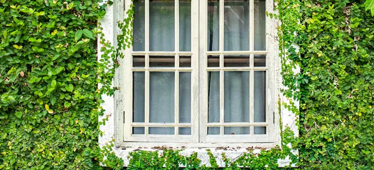 Garden Window Repair Near Me in Sun City Center, FL