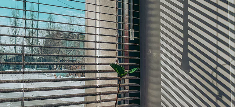 Commercial Window Blinds in Sun City Center, FL