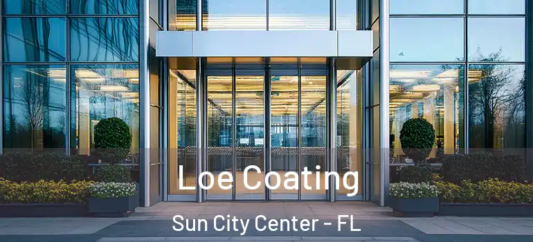  Loe Coating Sun City Center - FL