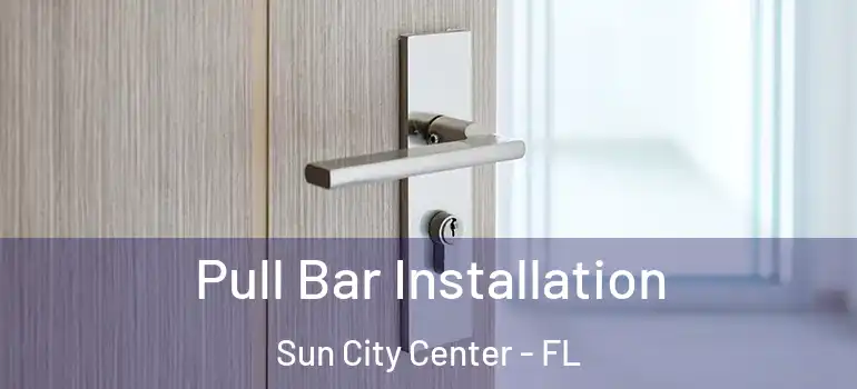  Pull Bar Installation Sun City Center - FL