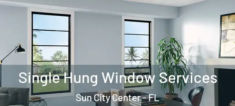  Single Hung Window Services Sun City Center - FL