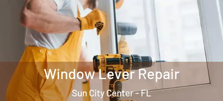  Window Lever Repair Sun City Center - FL