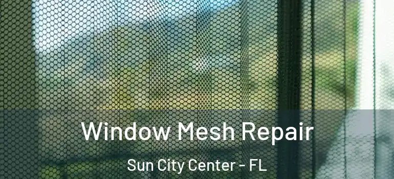  Window Mesh Repair Sun City Center - FL
