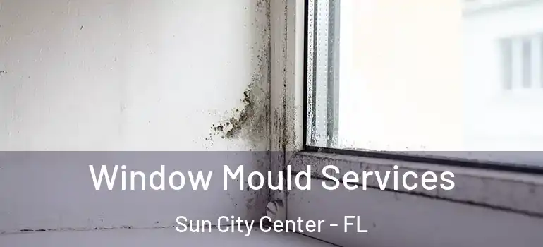  Window Mould Services Sun City Center - FL