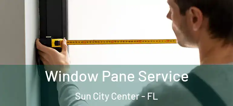  Window Pane Service Sun City Center - FL