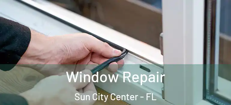  Window Repair Sun City Center - FL