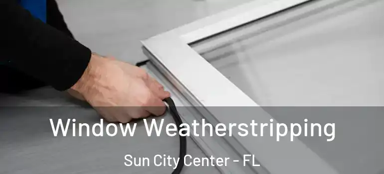  Window Weatherstripping Sun City Center - FL