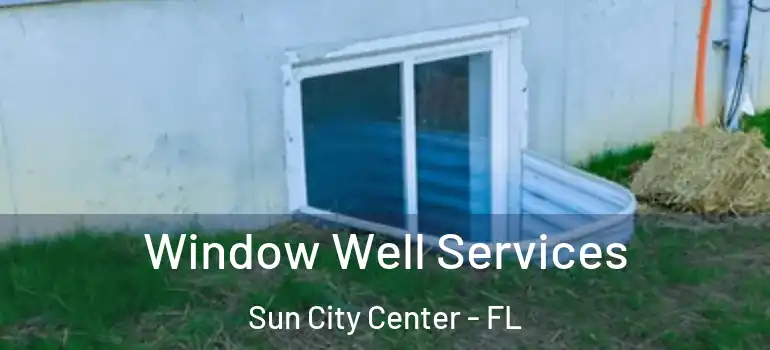  Window Well Services Sun City Center - FL